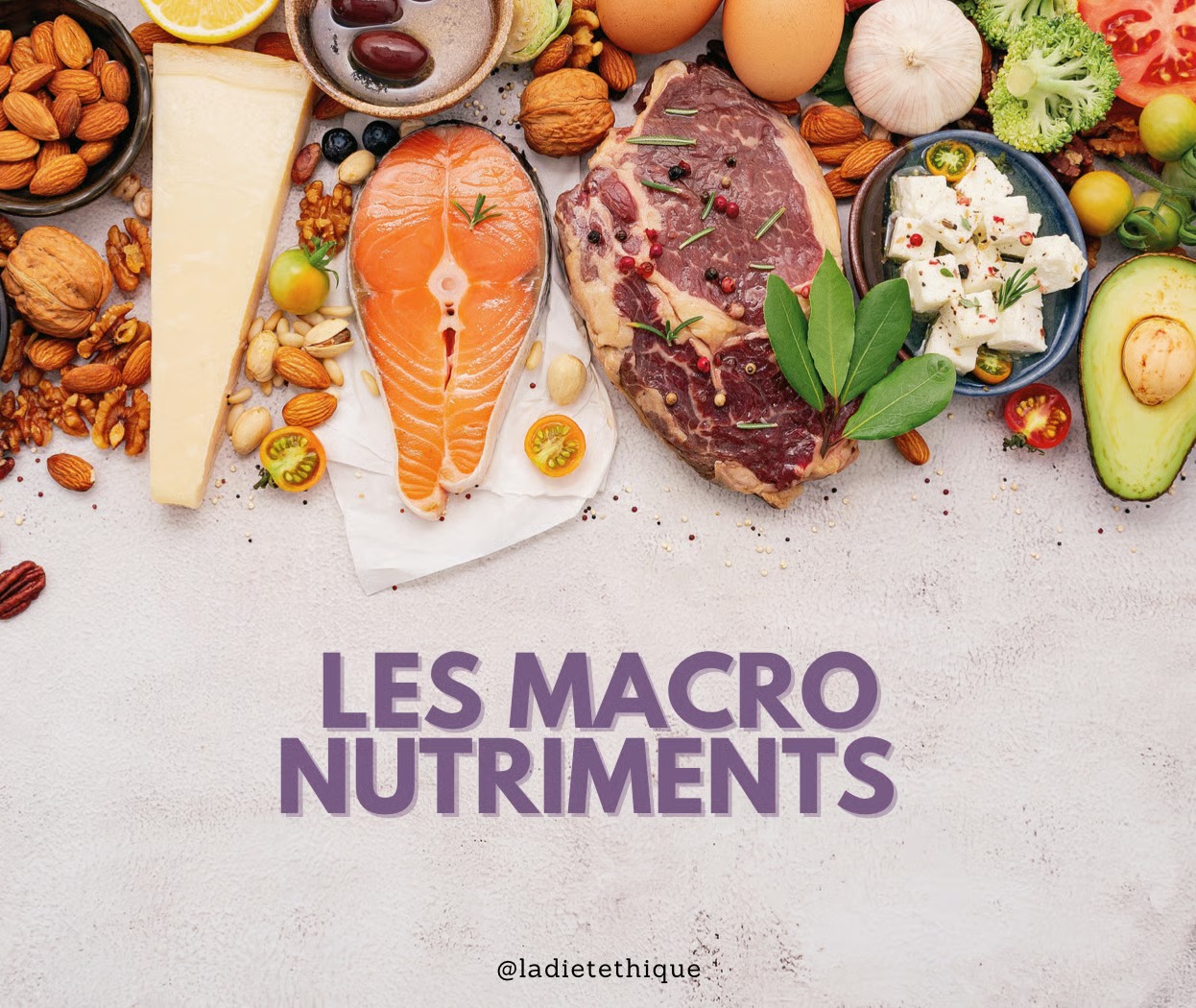 Couverture de Les macro Nutriments